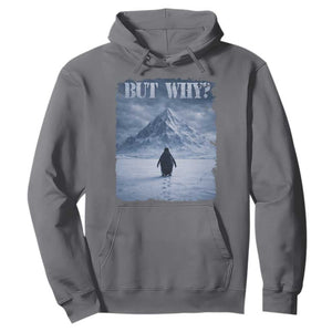 Nihilist Penguin But Why Hoodie Snow Mountains Motivational Penguin Meme TS11 Charcoal Print Your Wear