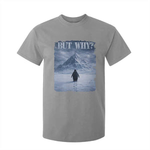 Nihilist Penguin But Why T Shirt For Kid Snow Mountains Motivational Penguin Meme TS11 Sport Gray Print Your Wear