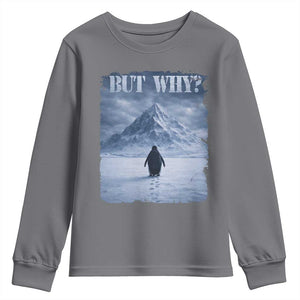 Nihilist Penguin But Why Youth Sweatshirt Snow Mountains Motivational Penguin Meme TS11 Charcoal Print Your Wear