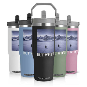 Nihilist Penguin But Why Flip Straw Tumbler Lone Penguin Walking Toward Mountain Meme TS11 Print Your Wear