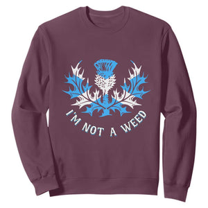 Funny Scottish Thistle I Am Not A Weed Sweatshirt Scotland Flag TS11 Maroon Print Your Wear