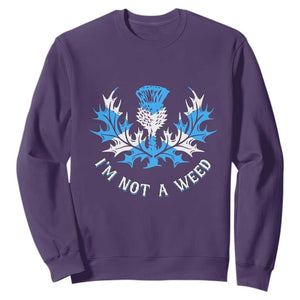 Funny Scottish Thistle I Am Not A Weed Sweatshirt Scotland Flag TS11 Purple Print Your Wear