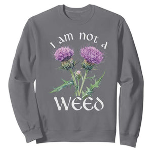 Funny Scottish Thistle I Am Not A Weed Sweatshirt TS11 Charcoal Print Your Wear