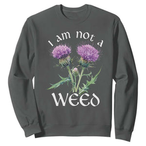 Funny Scottish Thistle I Am Not A Weed Sweatshirt TS11 Dark Heather Print Your Wear