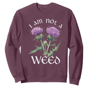 Funny Scottish Thistle I Am Not A Weed Sweatshirt TS11 Maroon Print Your Wear