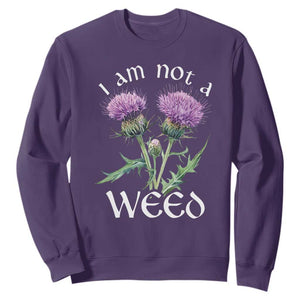 Funny Scottish Thistle I Am Not A Weed Sweatshirt TS11 Purple Print Your Wear