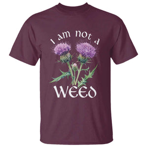 Funny Scottish Thistle I Am Not A Weed T Shirt TS11 Maroon Print Your Wear