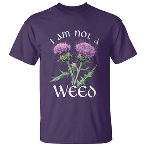 Funny Scottish Thistle I Am Not A Weed T Shirt TS11 Purple Print Your Wear