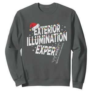 Funny Christmas Exterior Illumination Expert Sweatshirt Xmas Lights Decorator TS11 Dark Heather Print Your Wear