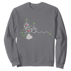 Cannabis Weed Sweatshirt Molecule THC Marijuana Stoner TS11 Charcoal Print Your Wear
