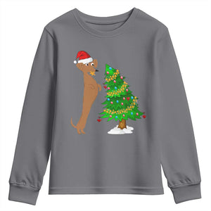 Funny Christmas Wiener Dog Youth Sweatshirt Decorations Xmas Tree TS11 Charcoal Print Your Wear