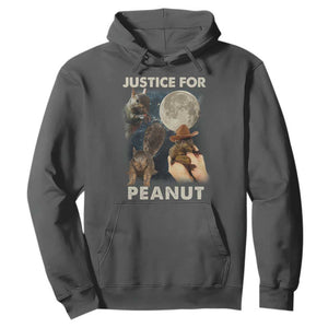 Justice For Peanut The Squirrel 2024 Moon Hoodie TS11 Dark Heather Print Your Wear