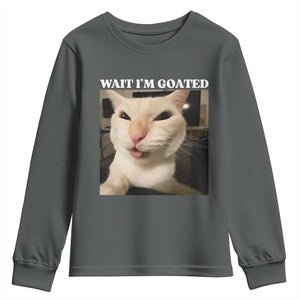 Funny Cat Meme Lover Youth Sweatshirt TS12 Dark Heather Print Your Wear
