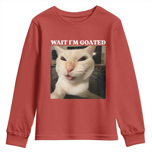 Funny Cat Meme Lover Youth Sweatshirt TS12 Red Print Your Wear