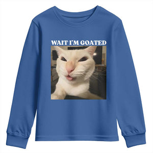 Funny Cat Meme Lover Youth Sweatshirt TS12 Royal Blue Print Your Wear