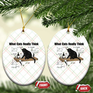 Funny Physics Cat Meme Ceramic Ornament What Cats Really Think TS12 Print Your Wear