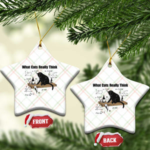 Funny Physics Cat Meme Ceramic Ornament What Cats Really Think TS12 Print Your Wear
