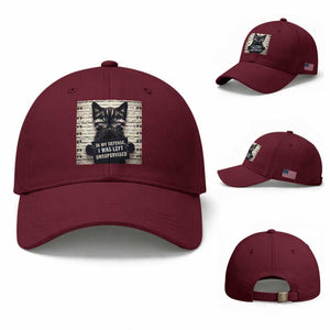 Funny Bad Cat Attitude Baseball Cap In My Defense I Was Left Unsupervised TS12 Baseball Cap Universal Fit Maroon Print Your Wear