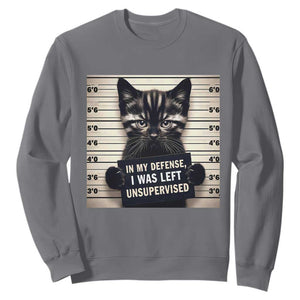 Funny Bad Cat Attitude Sweatshirt In My Defense I Was Left Unsupervised TS12 Charcoal Print Your Wear