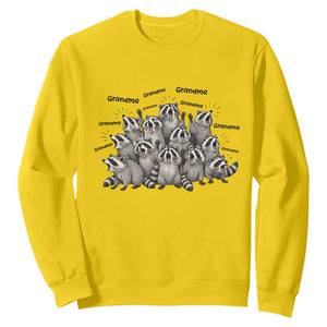 Funny Raccoon Grandma Sweatshirt Grandmother Chaos Trash Panda TS12 Daisy Print Your Wear