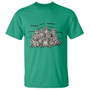 Funny Raccoon Grandma T Shirt Grandmother Chaos Trash Panda TS12 Irish Green Print Your Wear