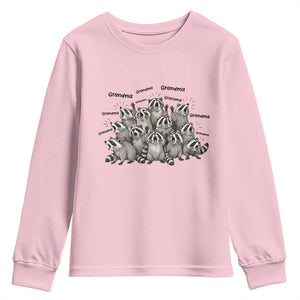 Funny Raccoon Grandma Youth Sweatshirt Grandmother Chaos Trash Panda TS12 Light Pink Print Your Wear