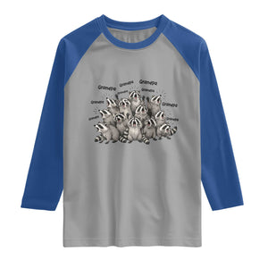 Funny Raccoon Grandpa Raglan Shirt Chaos Coordinator Grandpa Life Graphic TS12 Sport Gray Royal Print Your Wear