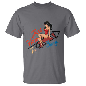 Funny Patriotic Pin Up Girl Firework USA Gift T Shirt Just Here To Bang