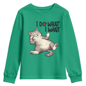 Cat Lover Youth Sweatshirt Funny I Do What I Want TS12 Irish Green Print Your Wear