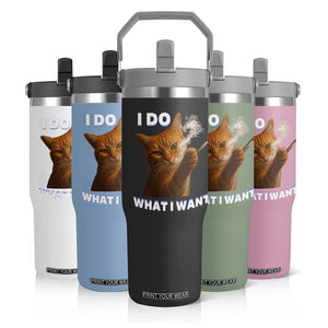 Funny Smoking Cat Flip Straw Tumbler I Do What I Want Sarcastic Cats Meme TS12 Print Your Wear