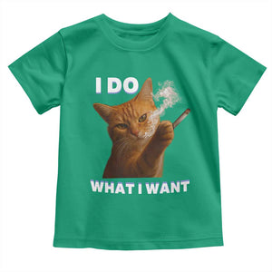 Funny Smoking Cat Toddler T Shirt I Do What I Want Sarcastic Cats Meme TS12 Irish Green Print Your Wear