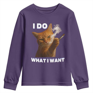 Funny Smoking Cat Youth Sweatshirt I Do What I Want Sarcastic Cats Meme TS12 Purple Print Your Wear