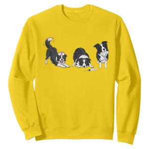 Funny Border Collie Nurse Vet Tech Sweatshirt Dog Lover Medical Worker Gift TS12 Daisy Print Your Wear