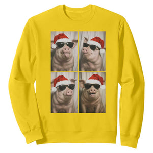 Cute Pig Christmas Selfie Sweatshirt Funny Holiday Photobooth Gift TS12 Daisy Print Your Wear