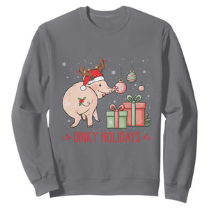 Oinky Holidays Sweatshirt Funny Christmas Pig Lover Gift TS12 Charcoal Print Your Wear
