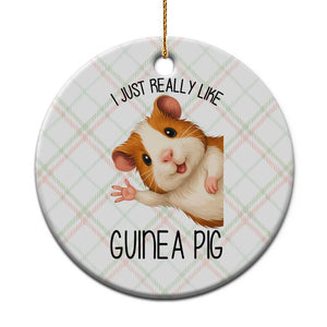 I Just Really Like Guinea Pigs Ceramic Ornament Funny Cavy Lover TS12 1pc Christmas Plaid Print Your Wear