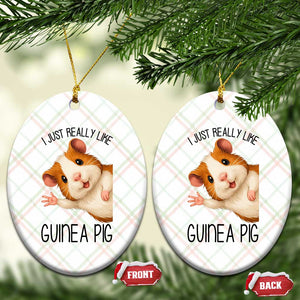 I Just Really Like Guinea Pigs Ceramic Ornament Funny Cavy Lover TS12 Print Your Wear