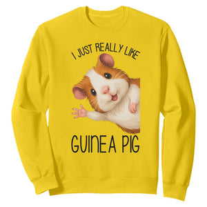 I Just Really Like Guinea Pigs Sweatshirt Funny Cavy Lover TS12 Daisy Print Your Wear