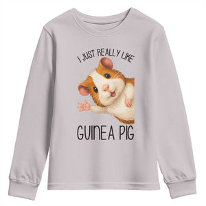 I Just Really Like Guinea Pigs Youth Sweatshirt Funny Cavy Lover TS12 Ice Gray Print Your Wear