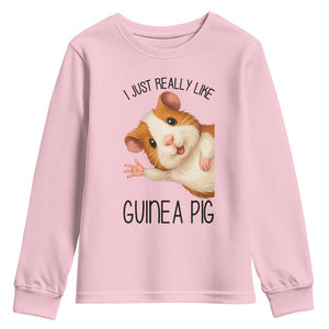 I Just Really Like Guinea Pigs Youth Sweatshirt Funny Cavy Lover TS12 Light Pink Print Your Wear