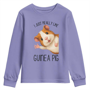 I Just Really Like Guinea Pigs Youth Sweatshirt Funny Cavy Lover TS12 Violet Print Your Wear