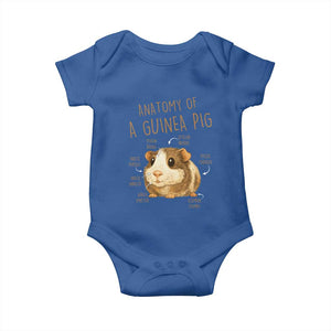 Anatomy Of A Guinea Pig Baby Onesie Funny Cavy Lover Animal Anatomy Gift TS12 Royal Blue Print Your Wear