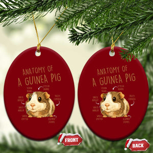 Anatomy Of A Guinea Pig Ceramic Ornament Funny Cavy Lover Animal Anatomy Gift TS12 Print Your Wear