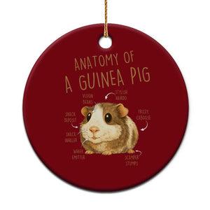 Anatomy Of A Guinea Pig Ceramic Ornament Funny Cavy Lover Animal Anatomy Gift TS12 1pc Red Print Your Wear