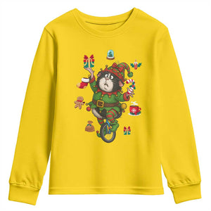 Guinea Pig Master Juggler Youth Sweatshirt Funny Christmas Cavy Lover Gift - Print Your Wear