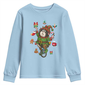 Guinea Pig Master Juggler Youth Sweatshirt Funny Christmas Cavy Lover Gift - Print Your Wear