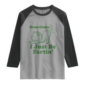 Funny Cat Sometimes I Just Be Fartin Raglan Shirt Pet Lover TS12 Sport Gray Black Print Your Wear