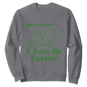 Funny Cat Sometimes I Just Be Fartin Sweatshirt Pet Lover TS12 Charcoal Print Your Wear