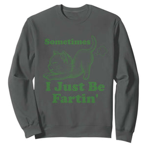 Funny Cat Sometimes I Just Be Fartin Sweatshirt Pet Lover TS12 Dark Heather Print Your Wear