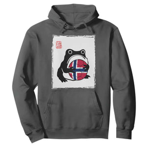 Grumpy Frog Norway Soccer Fan Hoodie Japanese Style Match Day TS12 Dark Heather Print Your Wear